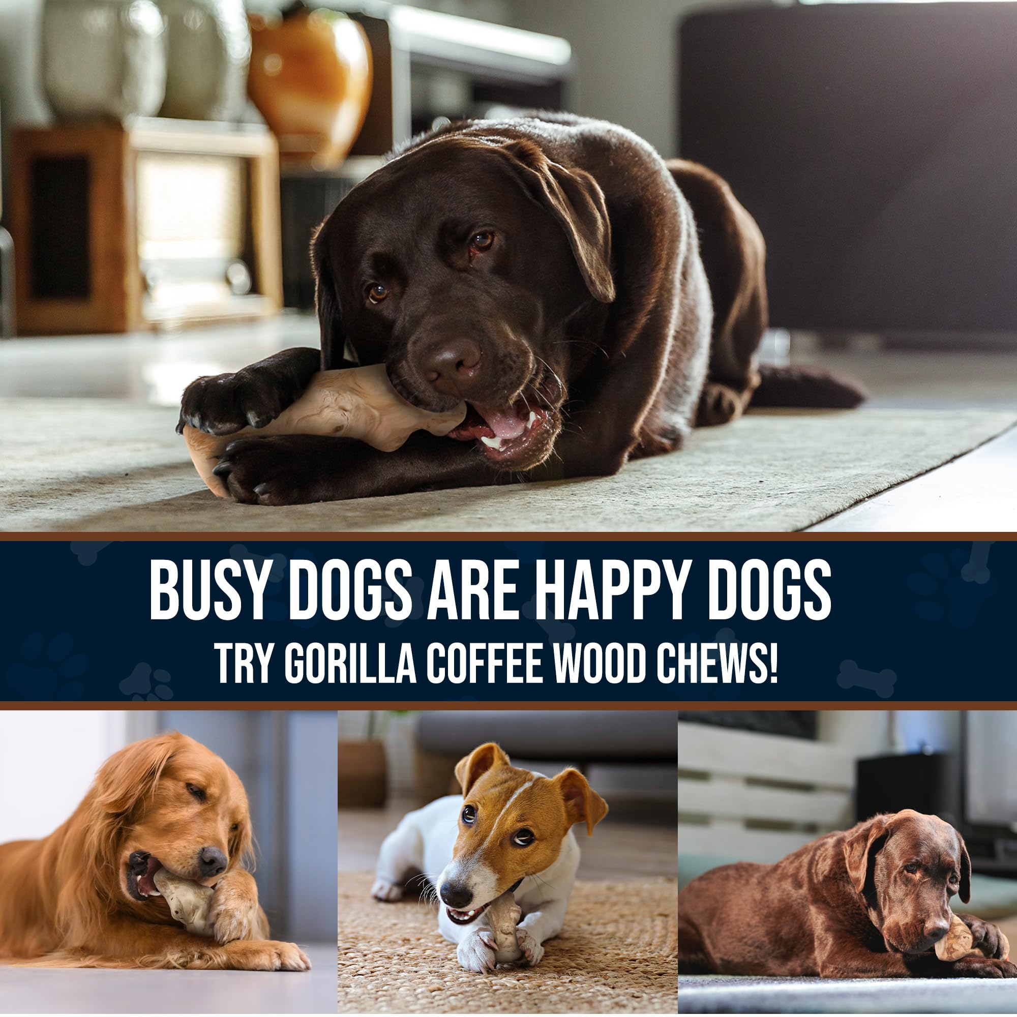 GOWGOW mental-stimulation chew keeps dogs engaged during interactive play.