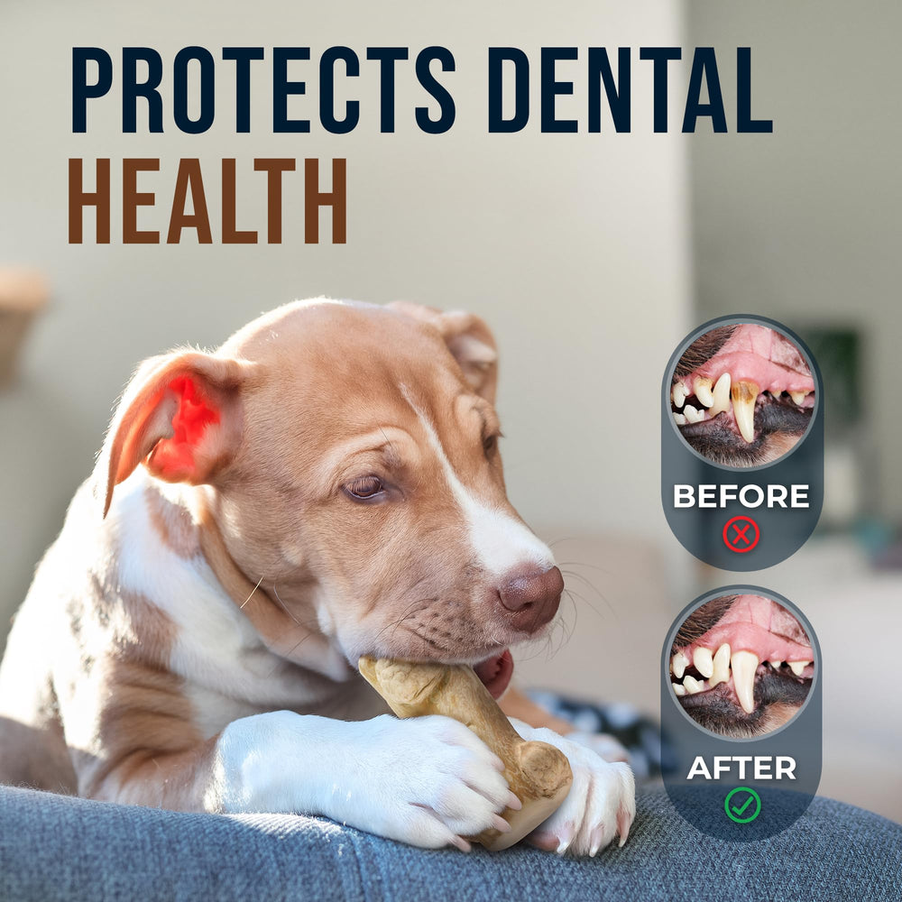GOWGOW natural coffee wood chew enhances gum massage and tooth contact.