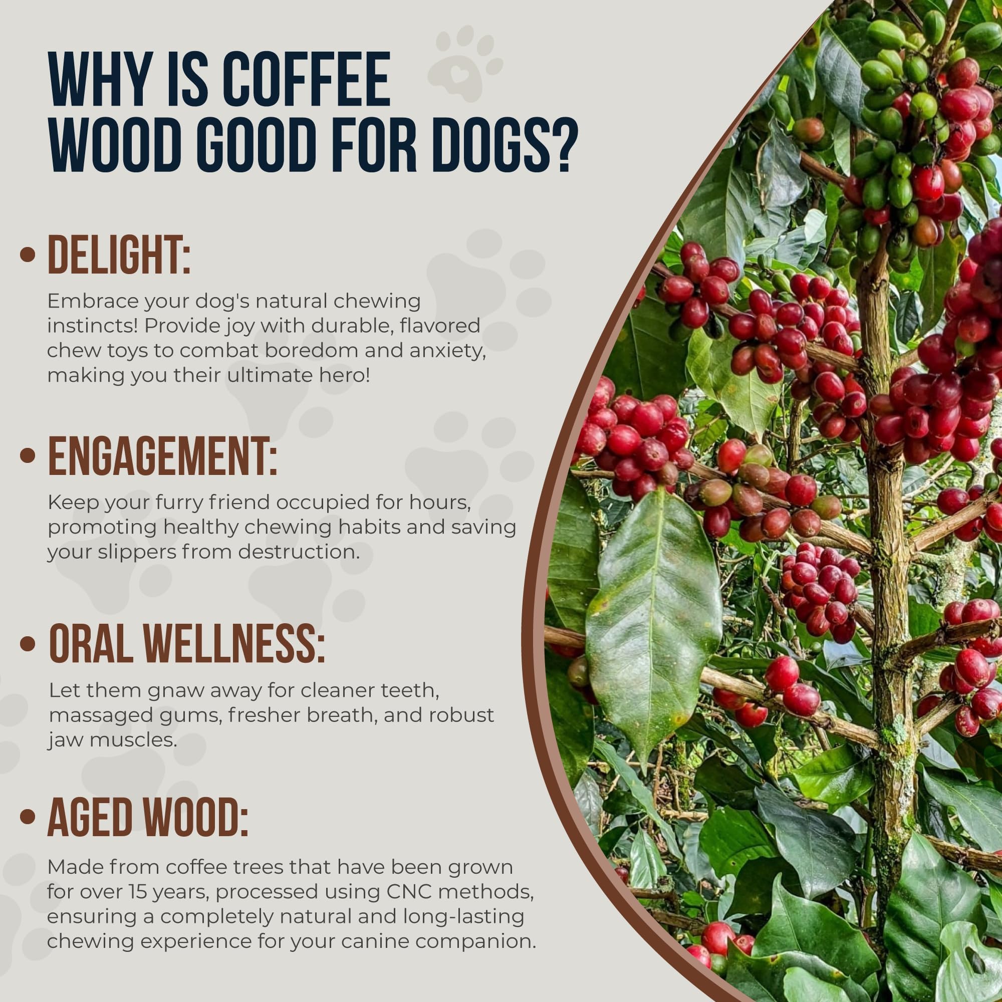 GOWGOW Real Coffee Wood Chew Toy size—sized for under-12-lb puppies.