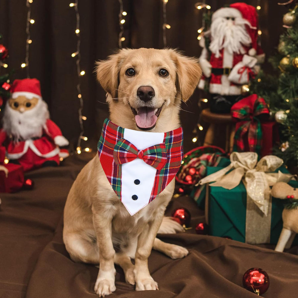 GOYOSWA Christmas dog tuxedo bandana opening enables collar swap.
