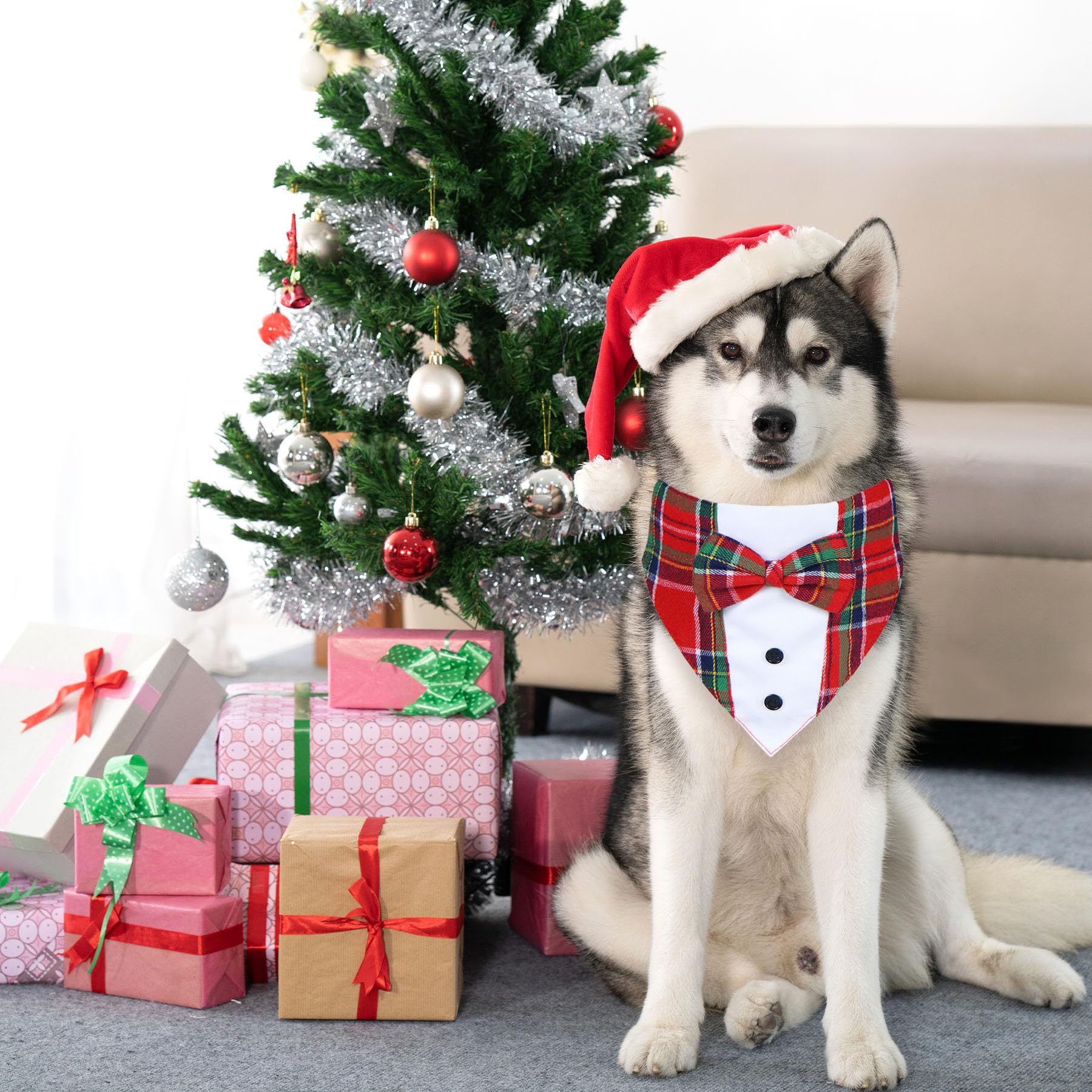 GOYOSWA Christmas dog tuxedo pose-ready for holiday occasions.