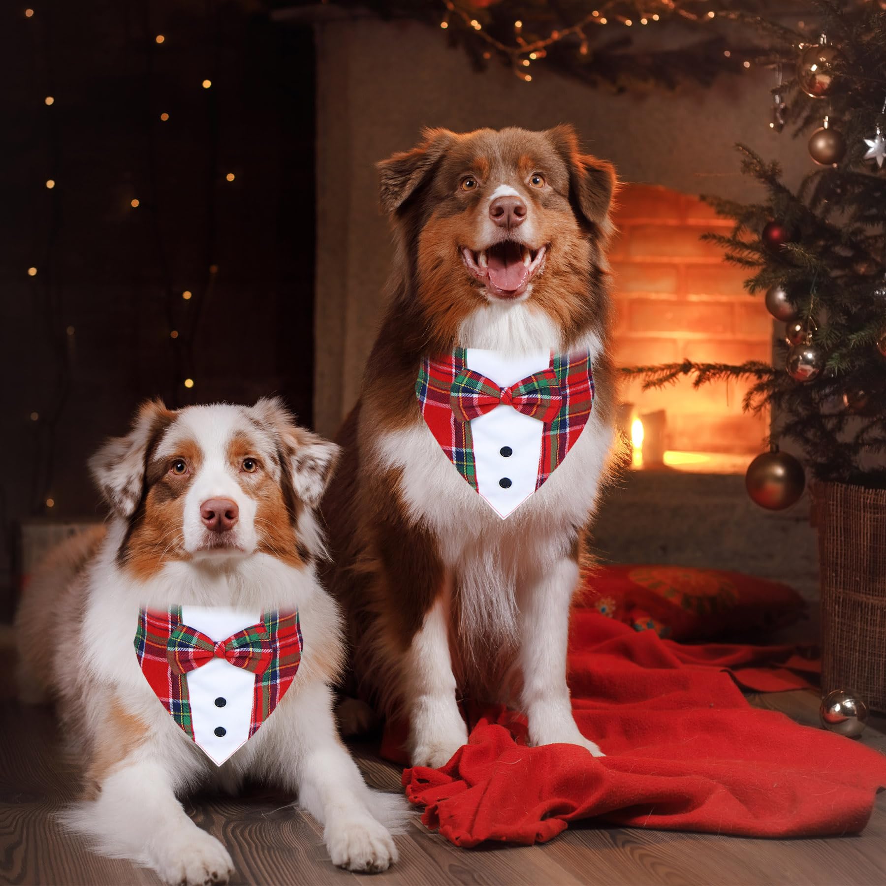 GOYOSWA Christmas dog tuxedo worn comfortably during celebrations.
