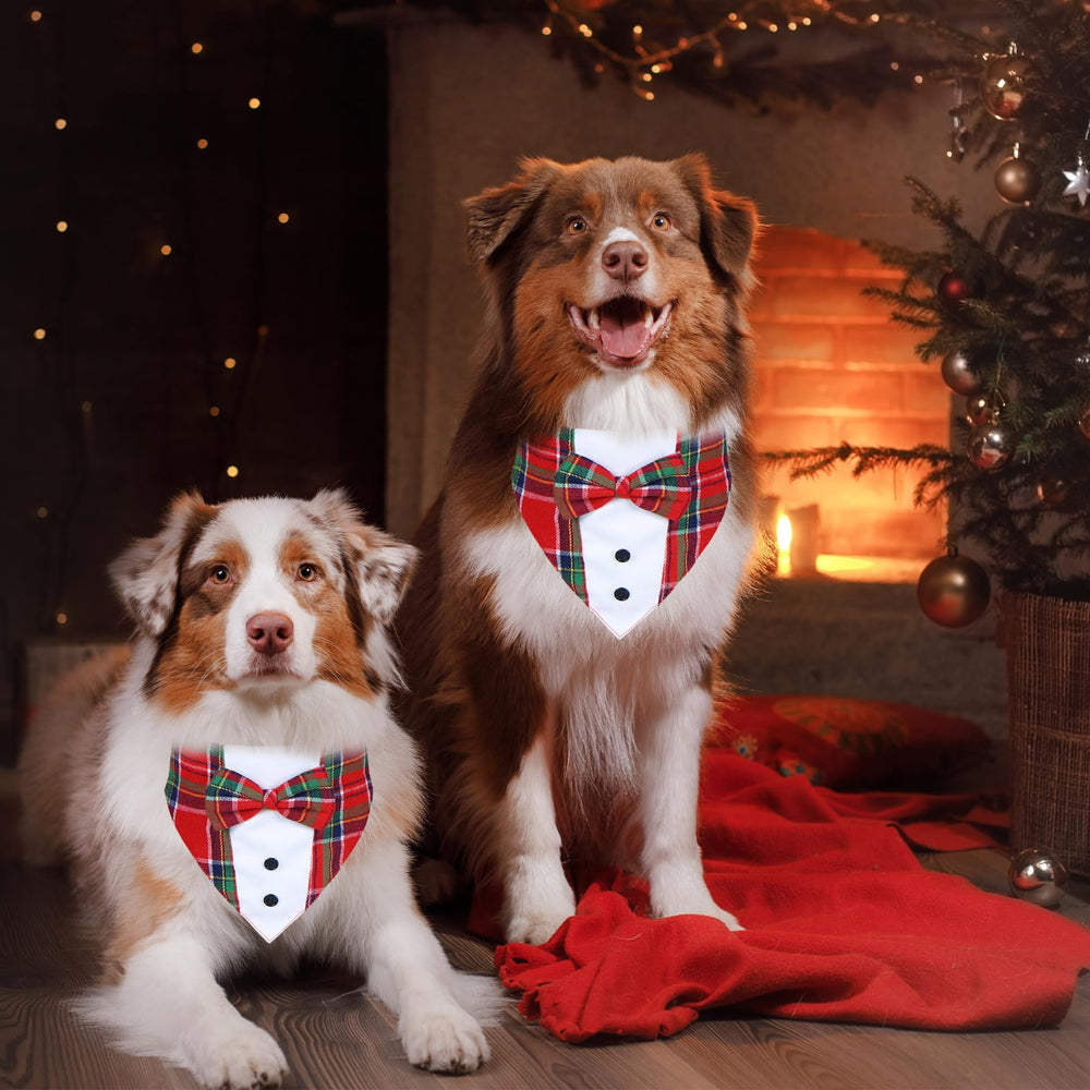 GOYOSWA Christmas dog tuxedo worn comfortably during celebrations.