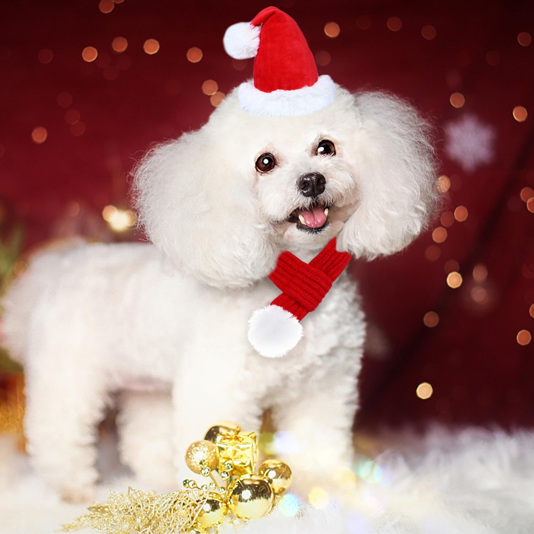 Goyoswa pet Christmas outfit pictured in a holiday scene for festive memories.