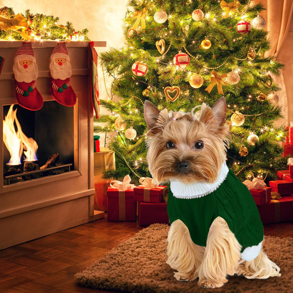 Goyoswa comfortable dog sweater worn indoors, keeps warmth on chilly days.