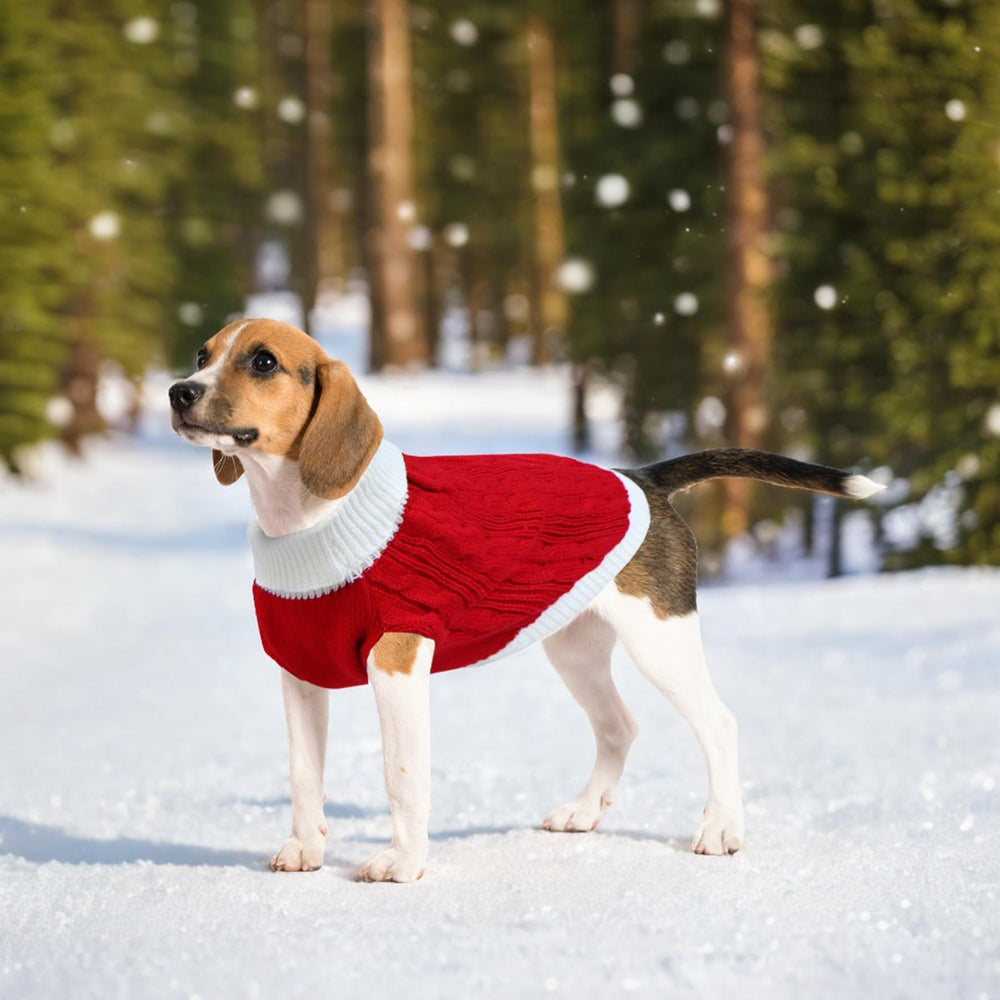 GOYOSWA diamond-pattern dog sweater showing holiday style for photos.