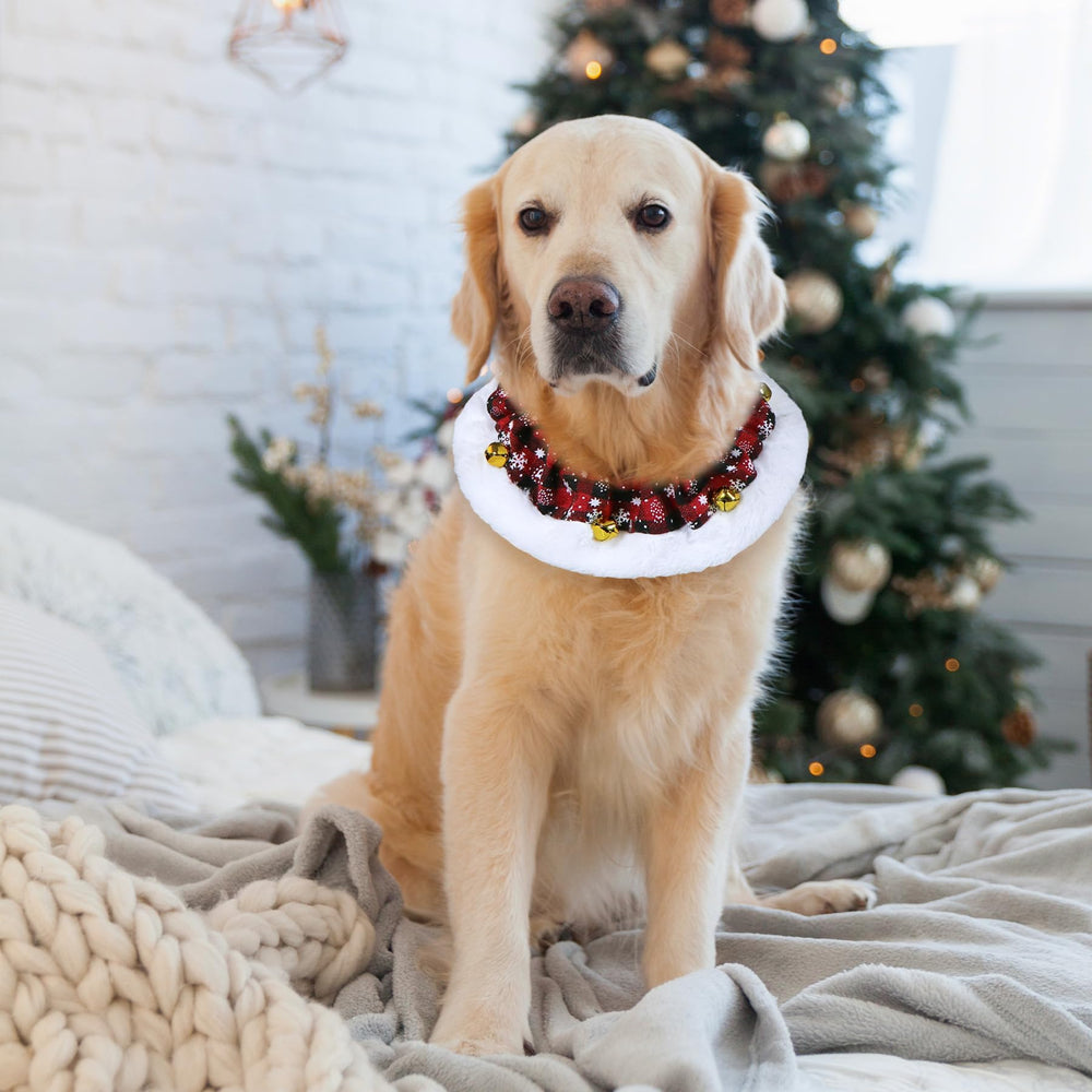 GOYOSWA dog Christmas bells detail highlights playful bells for attention and holiday charm.