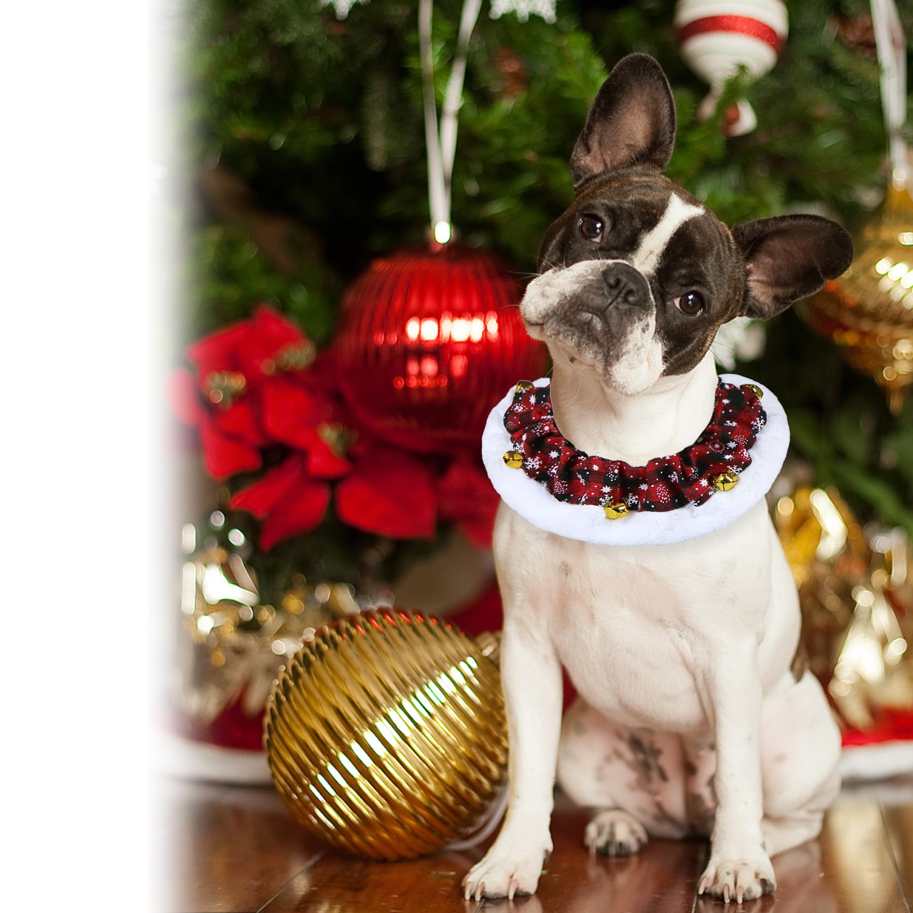 GOYOSWA dog Christmas party-ready outfit for photos and festive events.
