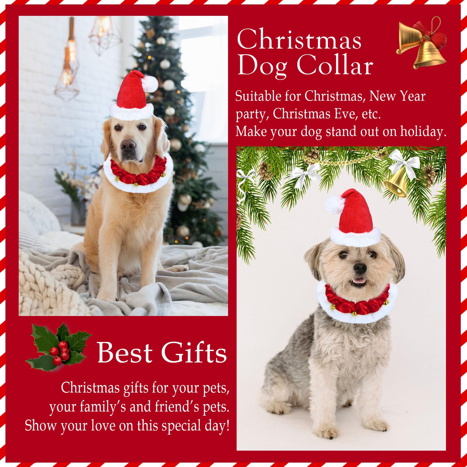 GOYOSWA dog Christmas outfit ready for photos and parties.