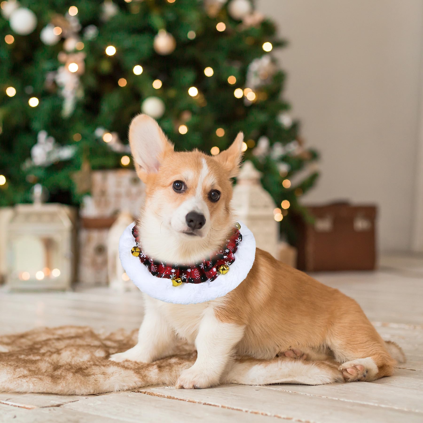 GOYOSWA dog Christmas outfit ready for daily wear and adorable holiday photos.
