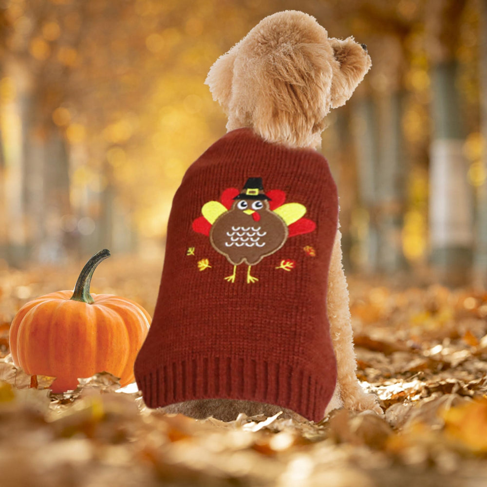 GOYOSWA dog holiday photos setup featuring festive knitwear and smiles