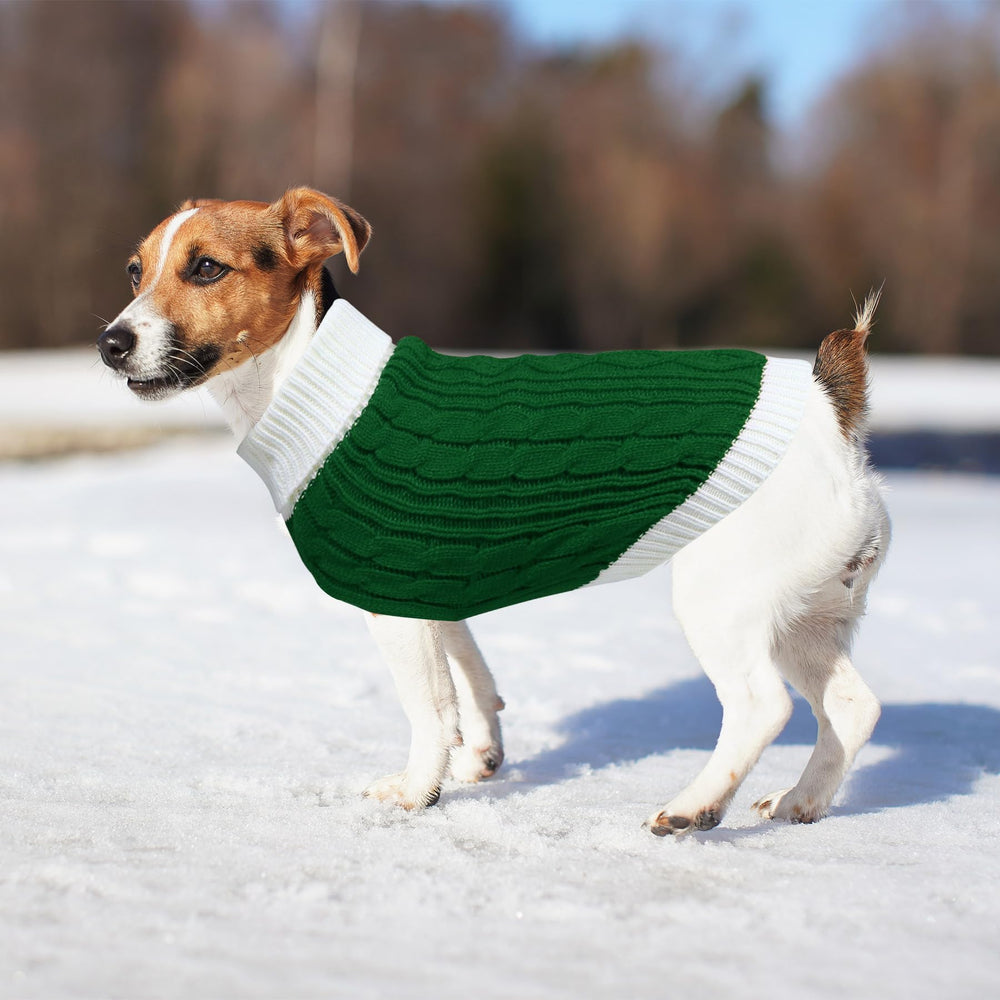 Goyoswa dog sweater photo prop in green for holiday shoots.