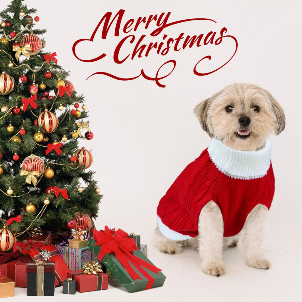 GOYOSWA dog sweater as a holiday photo prop for charming portraits.