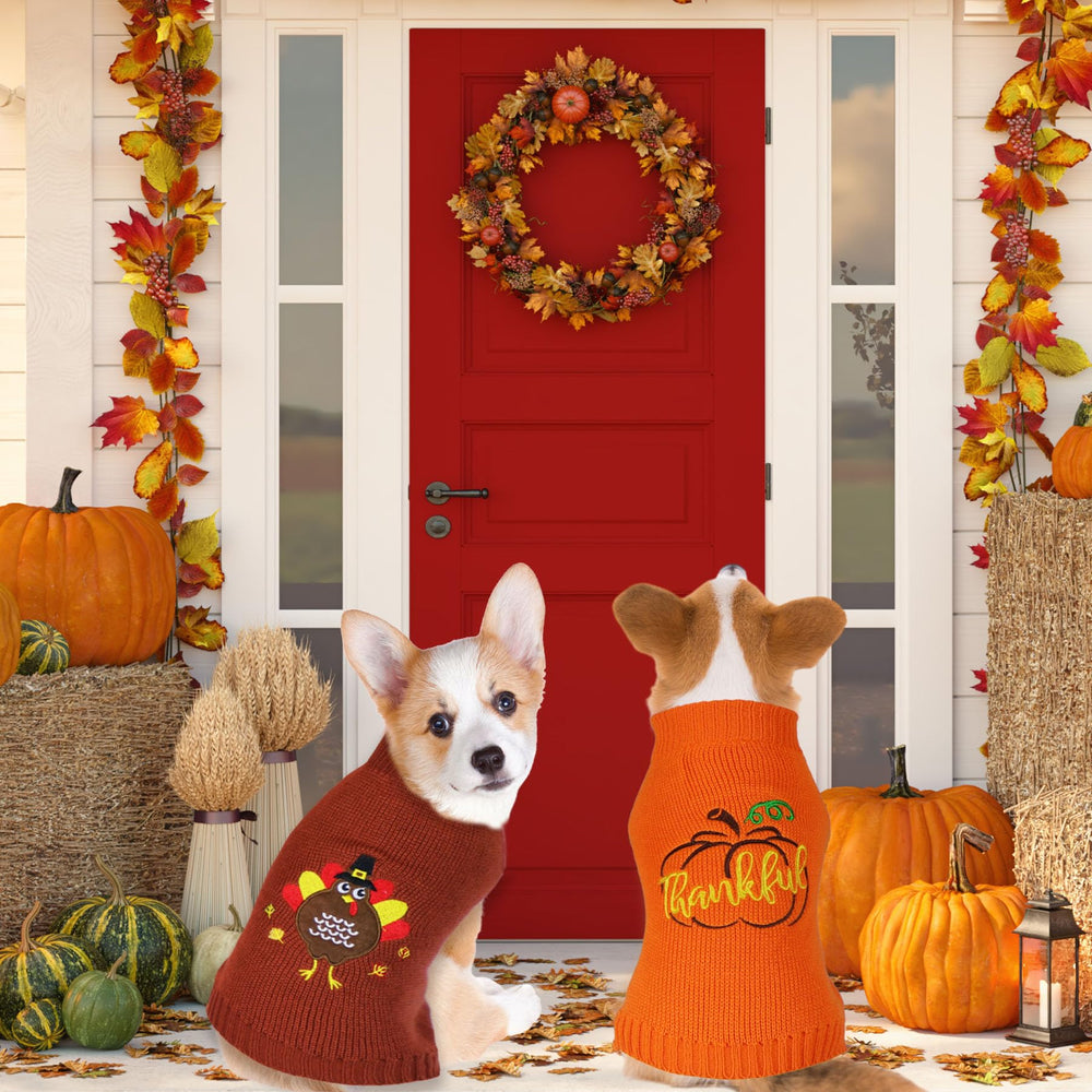 GOYOSWA model dog wearing sweater for a festive look and easy wear