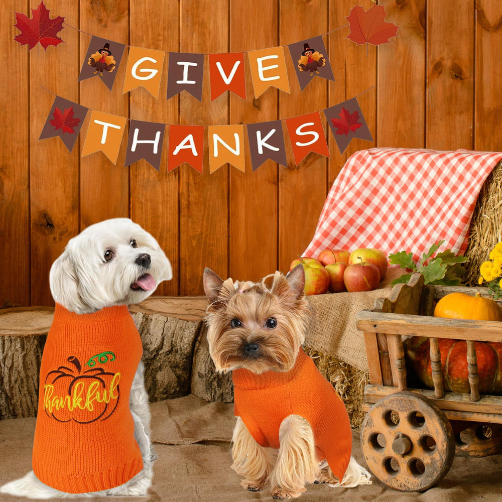 GOYOSWA dog Thanksgiving sweater flat lay; knit detail and holiday-ready look