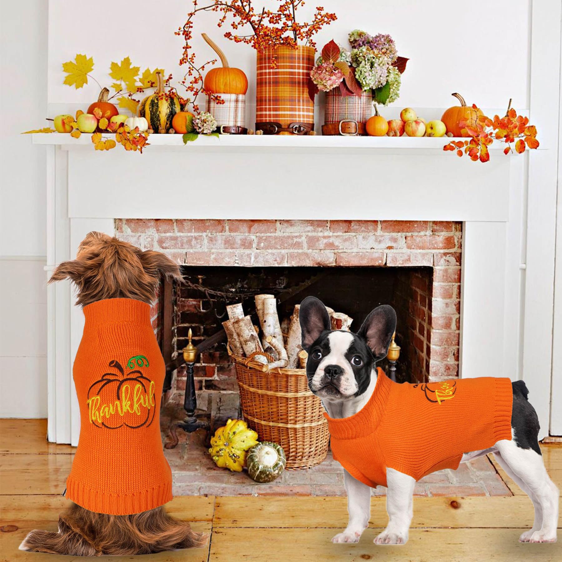 GOYOSWA dog Thanksgiving sweater on a pet during holiday party photos