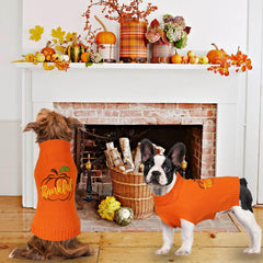 GOYOSWA dog Thanksgiving sweater on a pet during holiday party photos