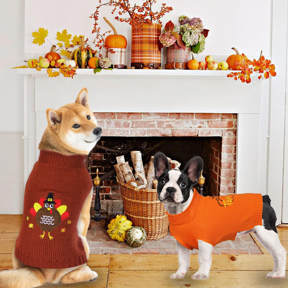 GOYOSWA gift-ready packaging ideal for holiday gifting to pet lovers