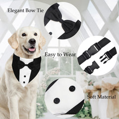 GOYOSWA adjustable neck collar ensures comfortable fit for varying dog sizes.