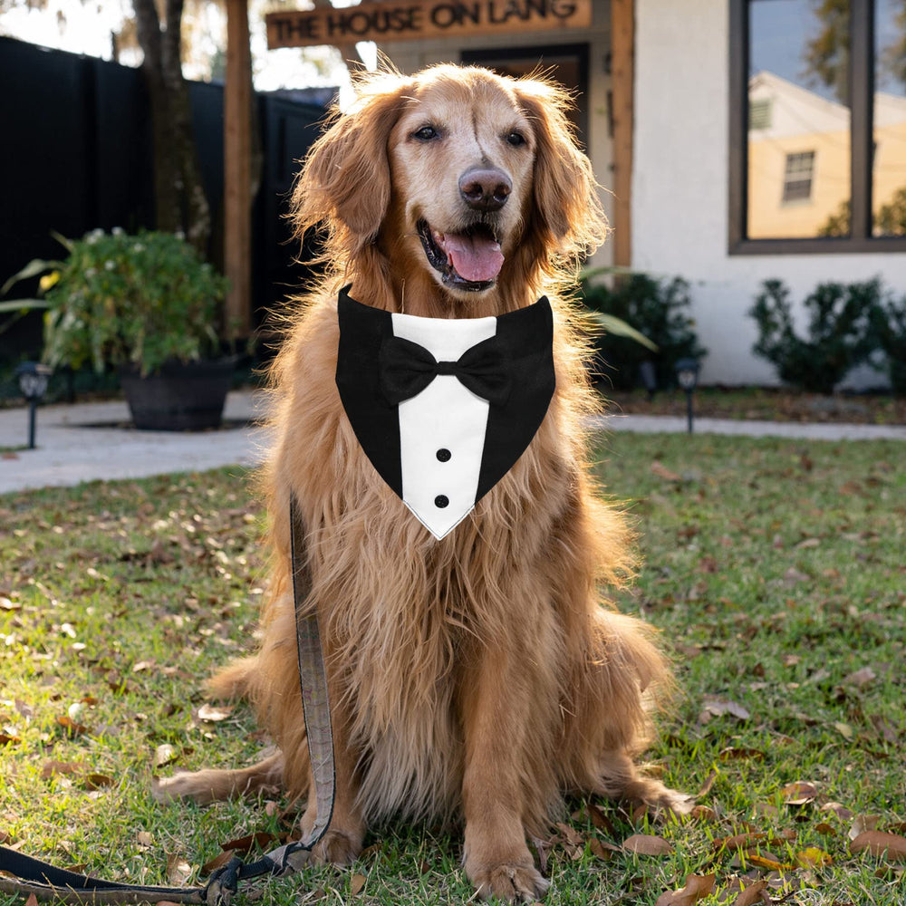 GOYOSWA quick-release buckle makes putting on the tuxedo fast and easy.