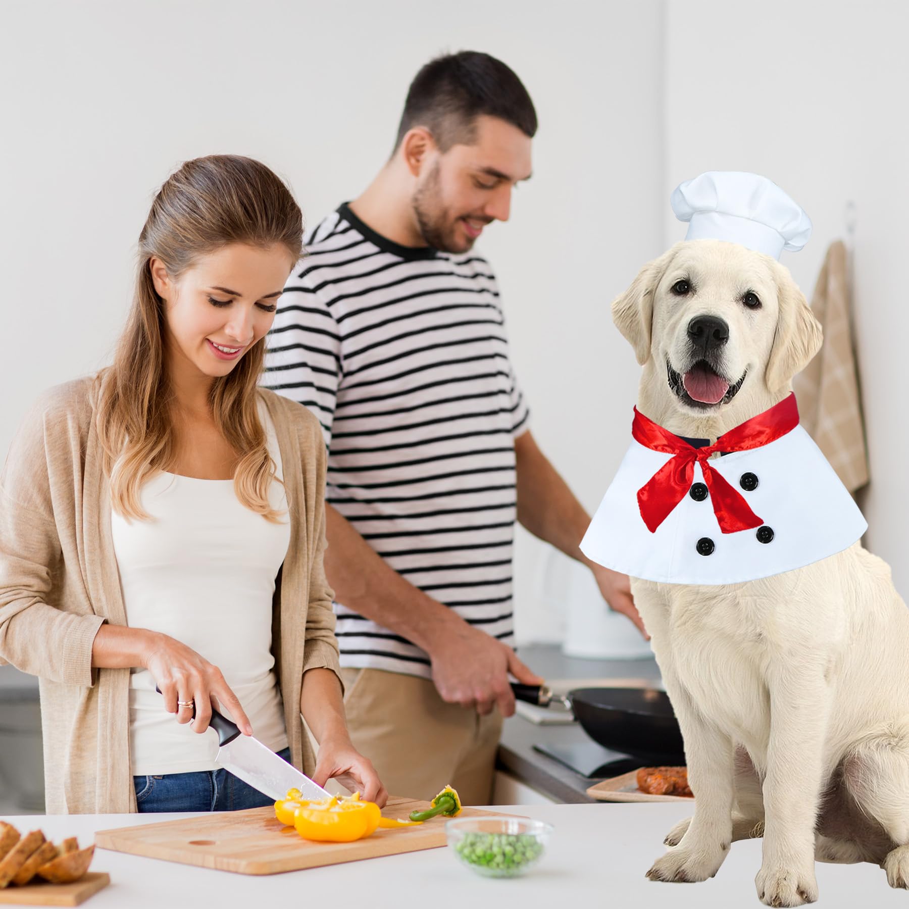 GOYOSWA escena de Halloween para perro, perfecta para fotos memorables