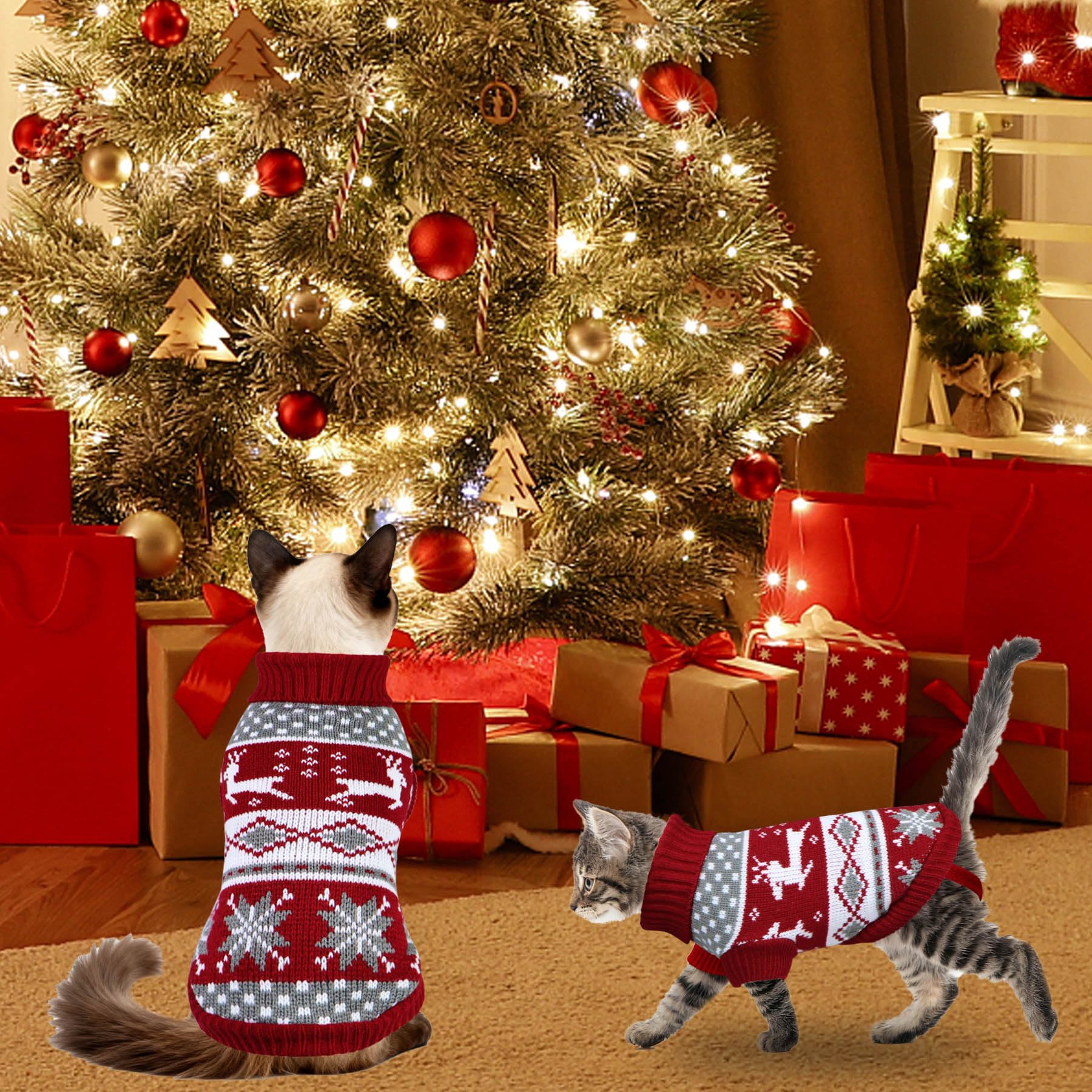 GOYOSWA holiday outfit suitable for daily wear and holiday photos