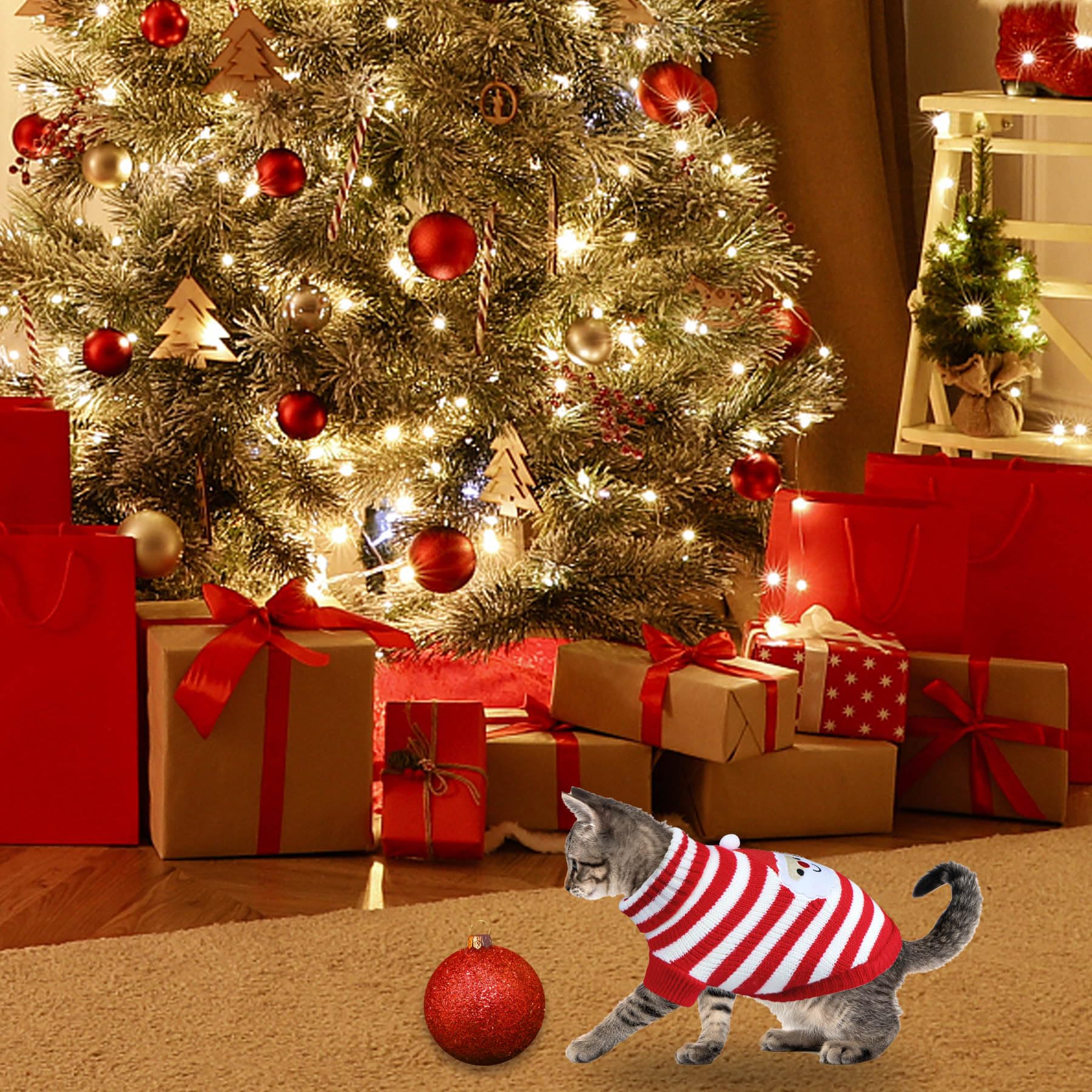 GOYOSWA Santa cat sweater worn by pet during holiday photos
