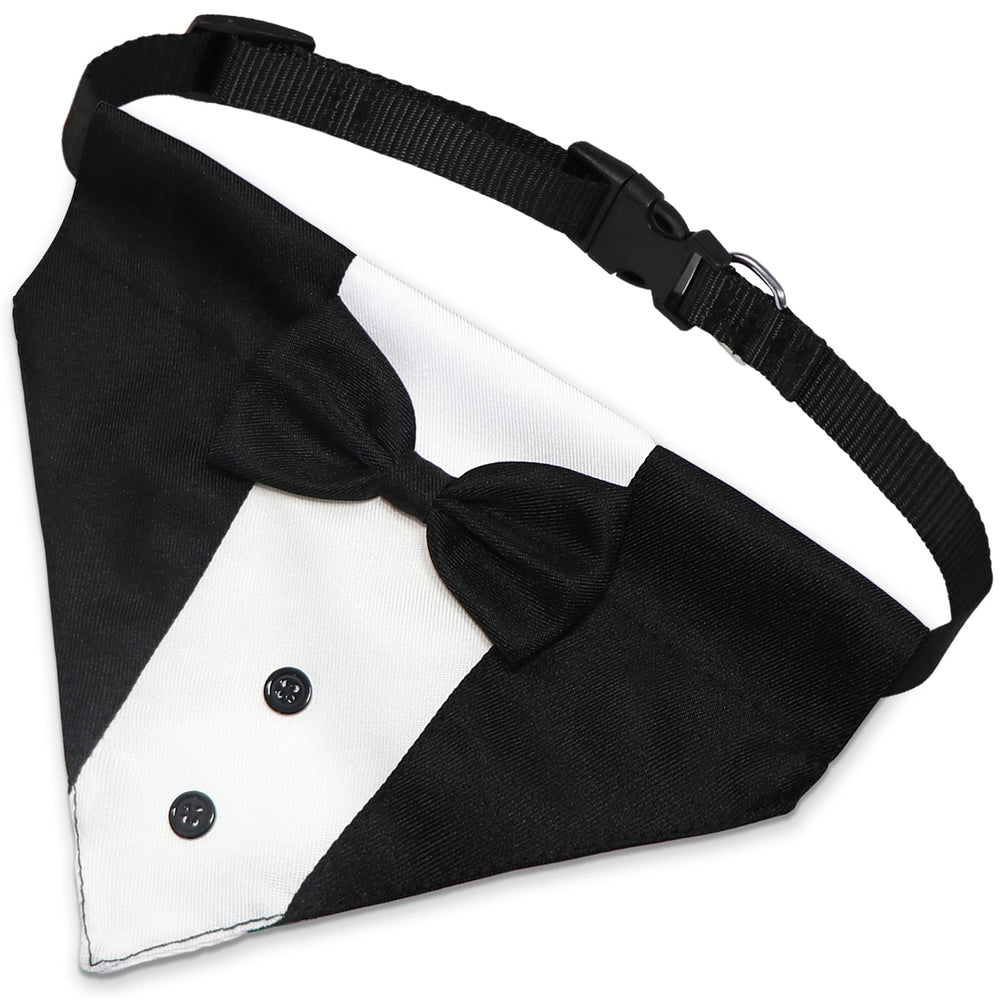 GOYOSWA wedding tuxedo collar on dog ready for photos.