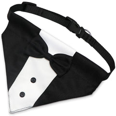 GOYOSWA wedding tuxedo collar on dog ready for photos.