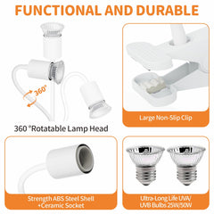 GOZILLA 50W UVA/UVB bulb provides UVA warmth and UVB for calcium metabolism.
