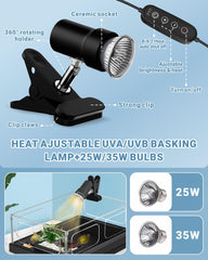 GOZILLA turtle tank kit with compact dimensions ideal for small living spaces