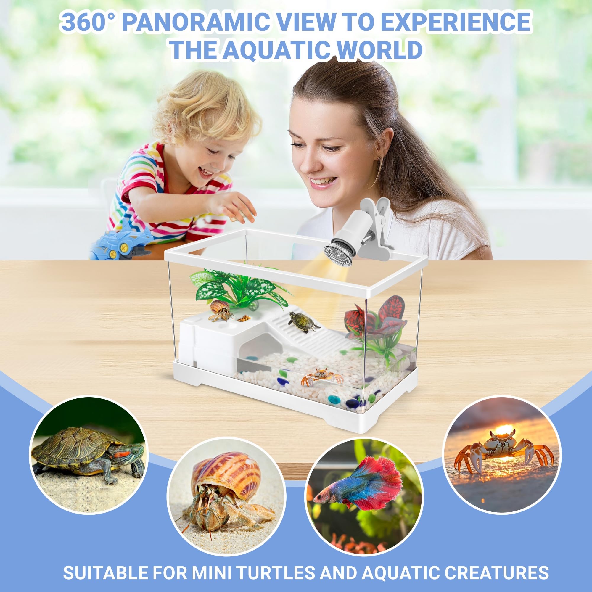 GOZILLA starter-kit benefits for baby turtles or hermit crabs, ready-to-use.