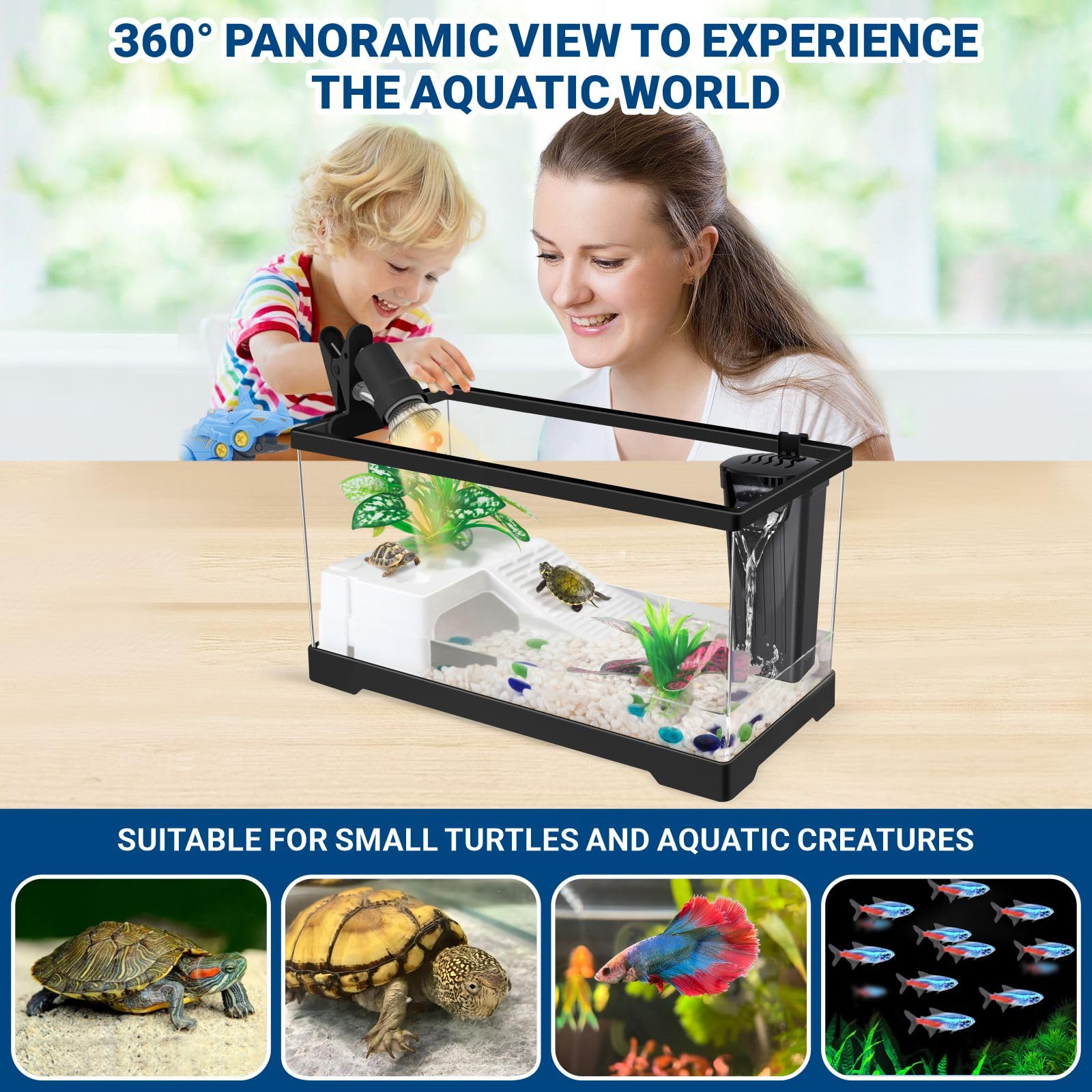 GOZILLA turtle tank kit colored beads for color and enrichment