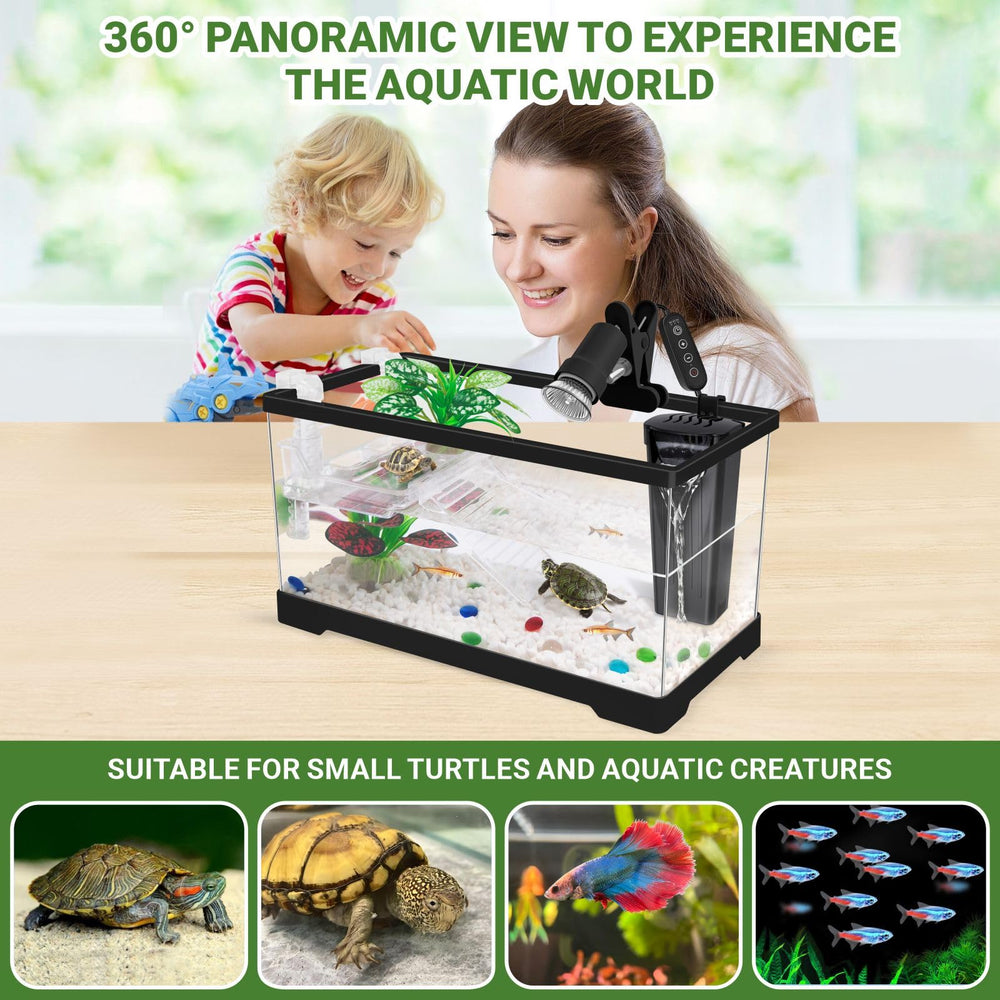 GOZILLA turtle tank kit rocks and beads enhance engaging tank decor.