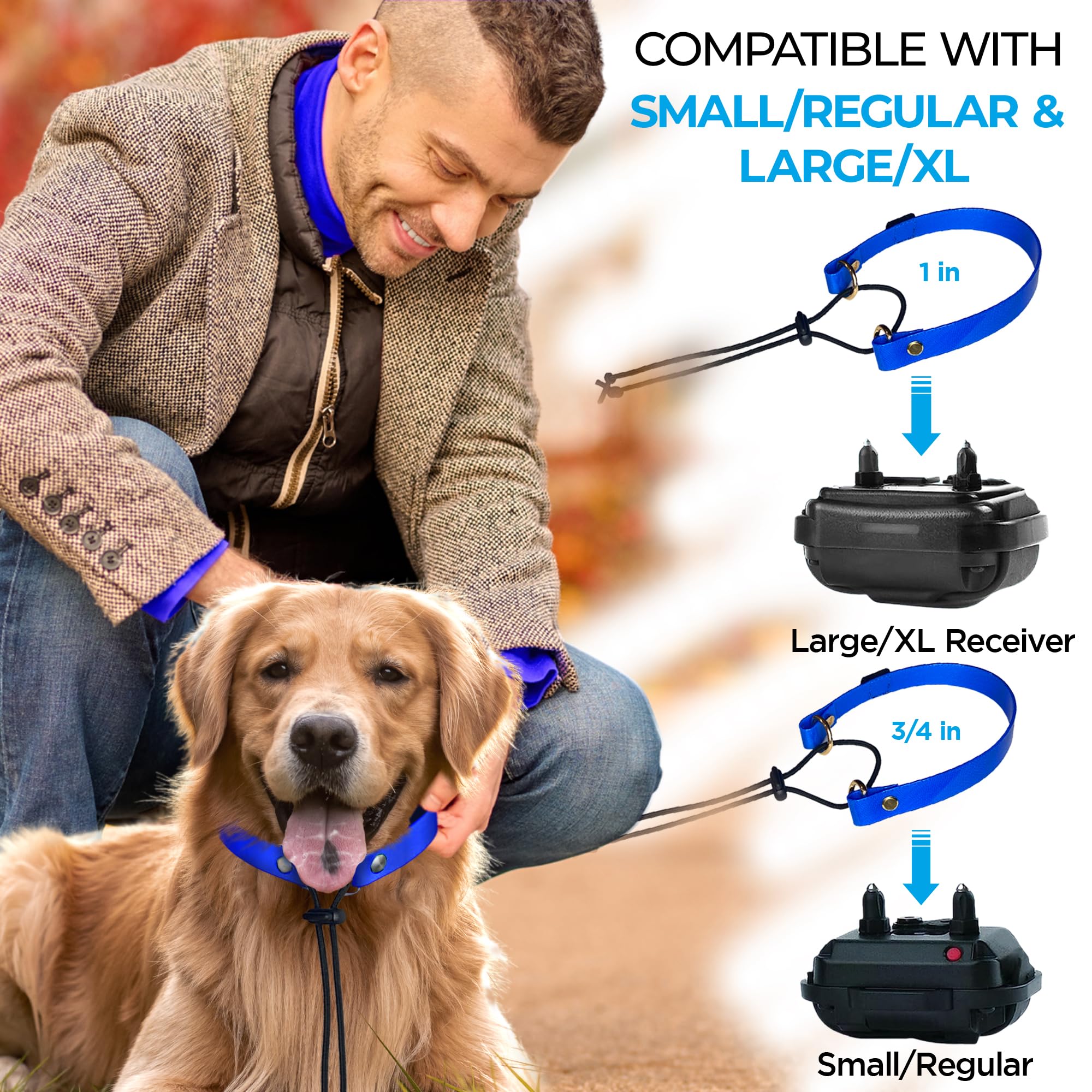 Gracie To The Rescue 3/4in-wide nylon strap built for daily wear.