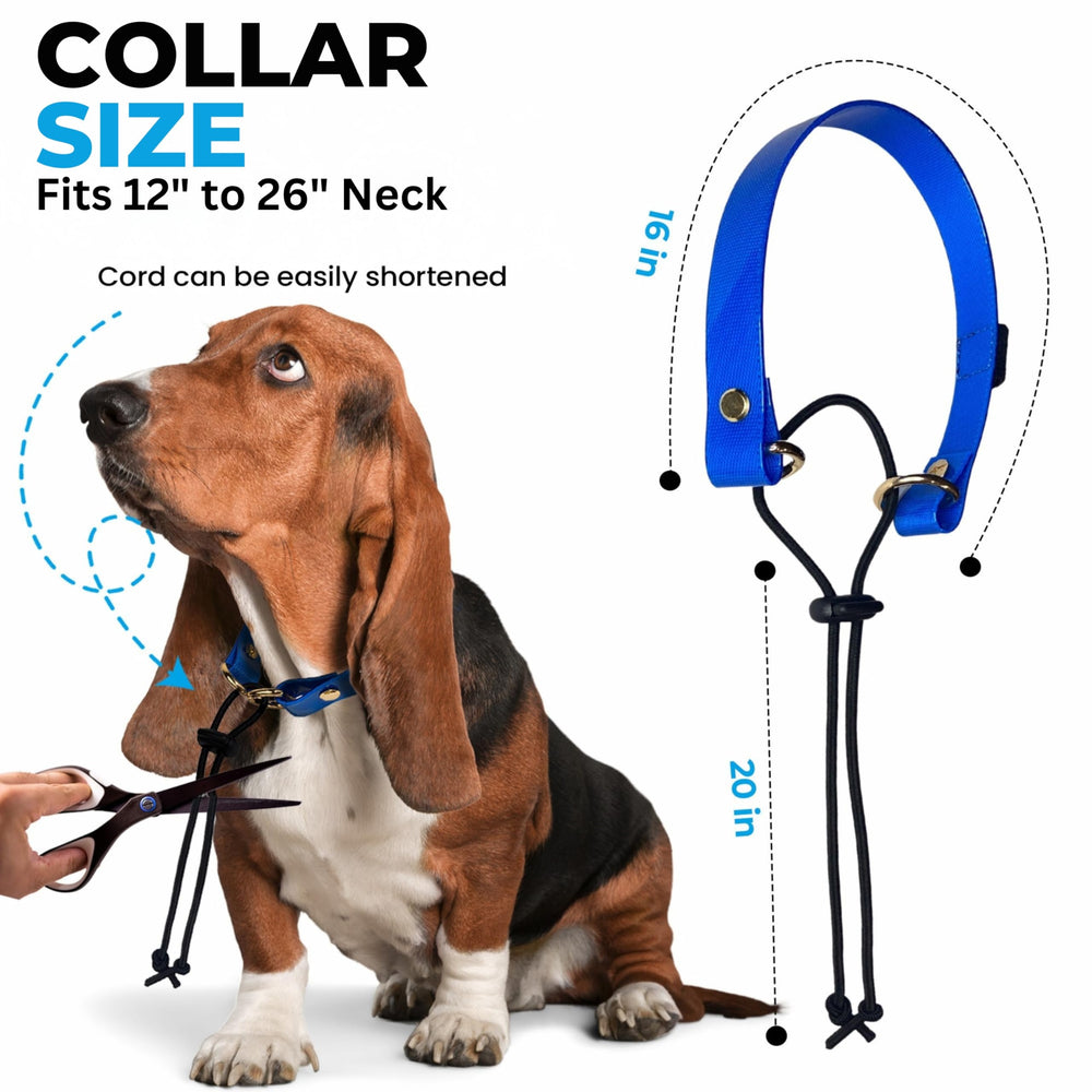 Gracie To The Rescue durable nylon strap withstands active dogs' playtime.