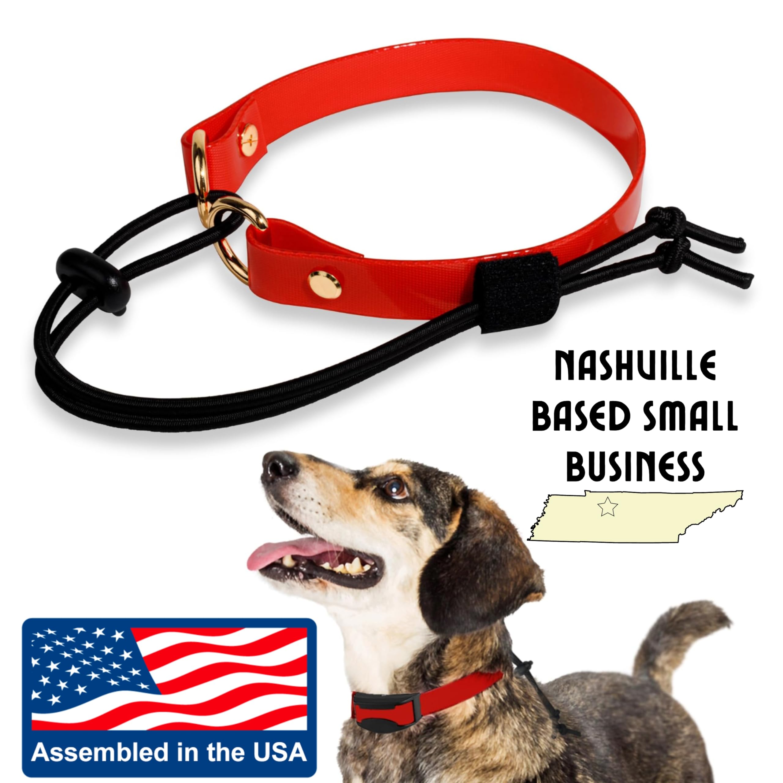 Gracie To The Rescue lifetime warranty shield against defects and chewing.