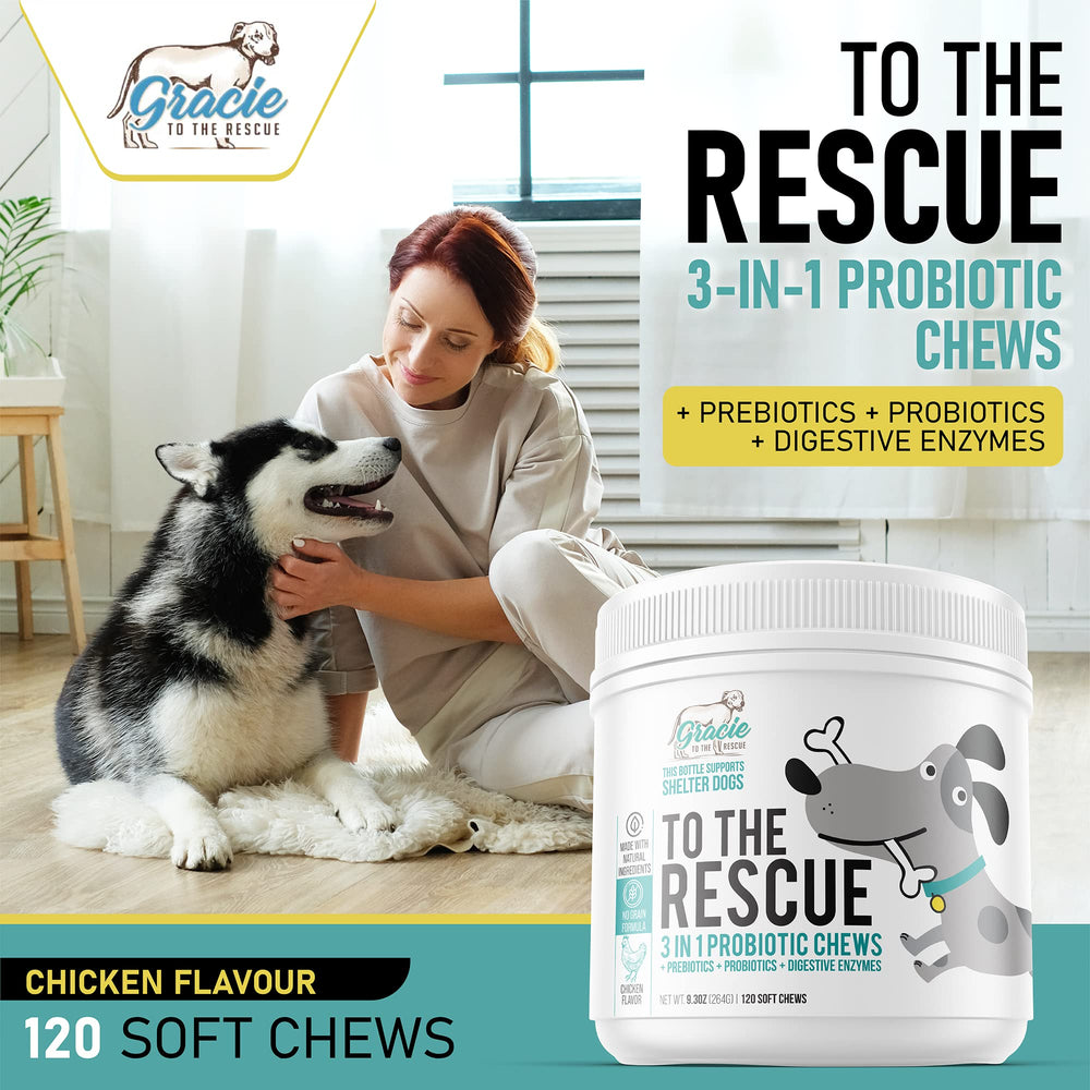 Gracie To The Rescue dog paw close-up shows chicken flavor for easy administration.