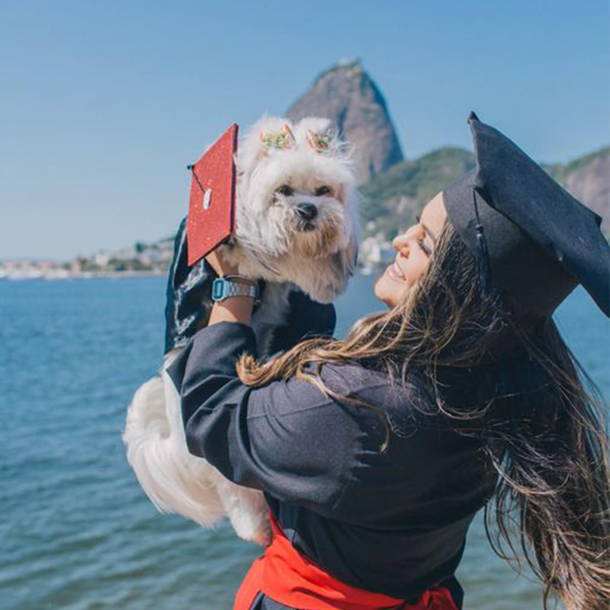 GraduatePro washable pet attire remains crisp and easy to care for after storage.