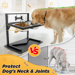 Grand Line elevated dog bowls tilted at 10 degrees for natural eating posture.