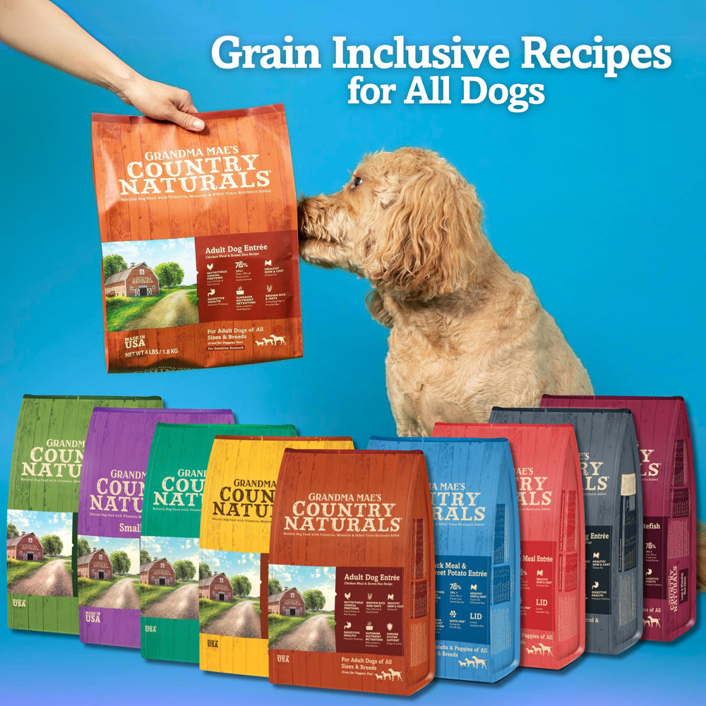 Grandma Mae's Country Naturals dry dog food kibble close-up showing wholesome ingredients for picky eaters
