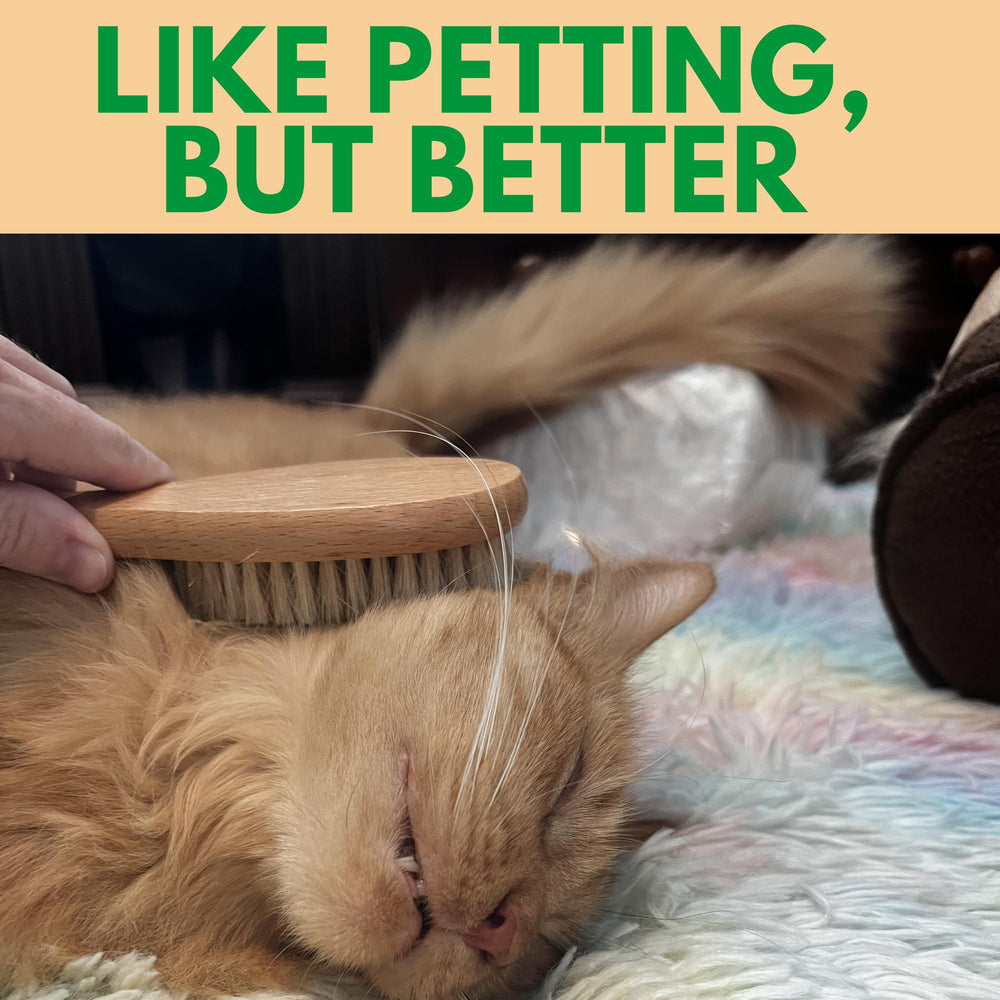 GranNaturals durable wooden handle provides comfortable grip and precise control during brushing.