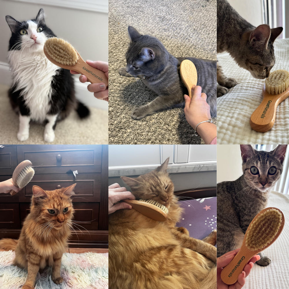 GranNaturals small-pet grooming brush suitable for rabbits and other tiny companions.