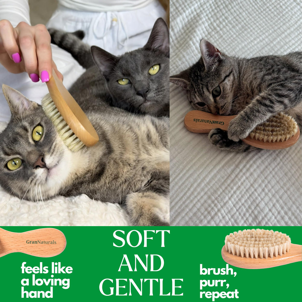GranNaturals soft bristles support coat health and easy detangling for kittens and short-haired cats.