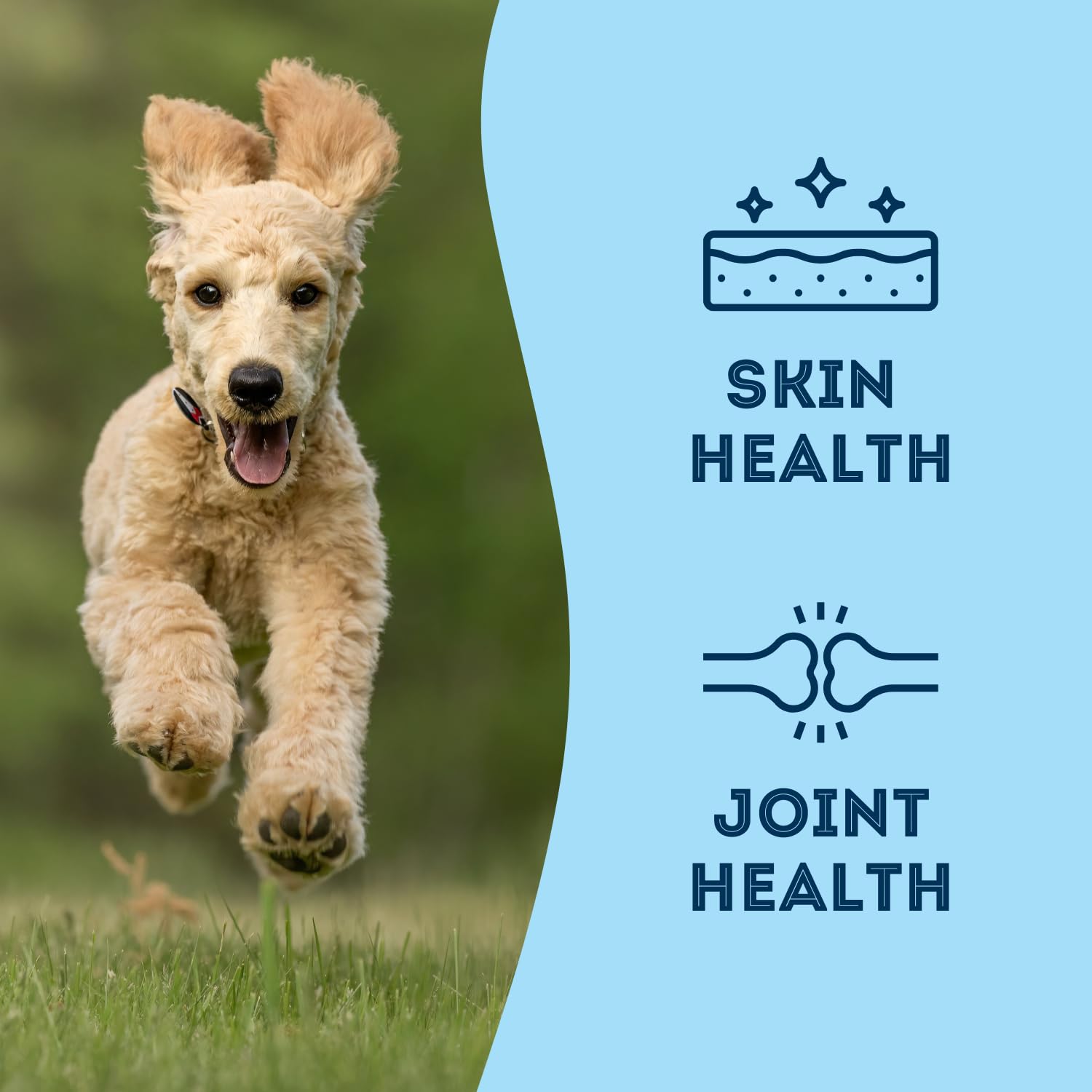 The Granville Island Pet Treatery omega-3-rich sardines pictured for joint-support benefits.