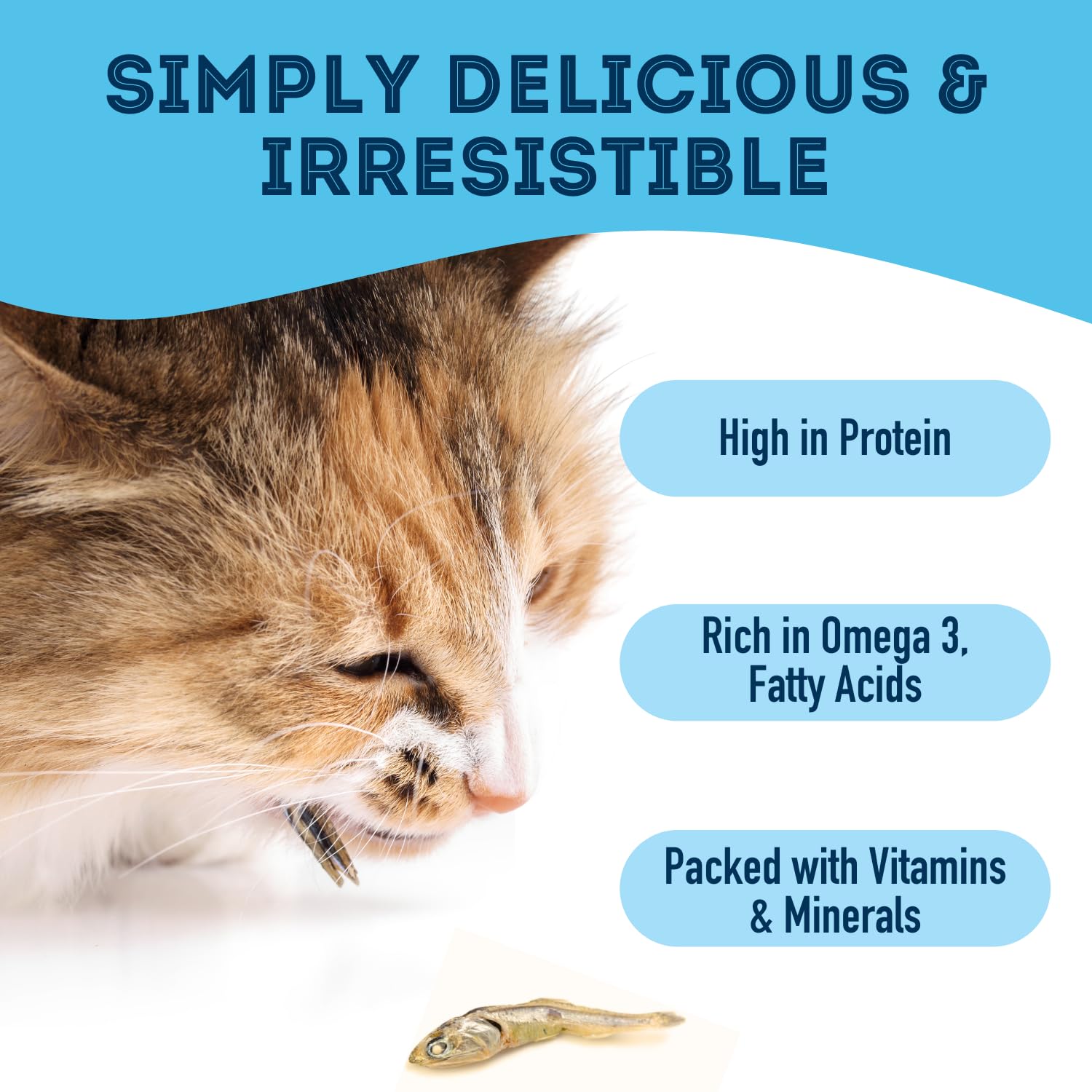 Cat-friendly sardines presented as a simple, single-ingredient snack for feline diets.