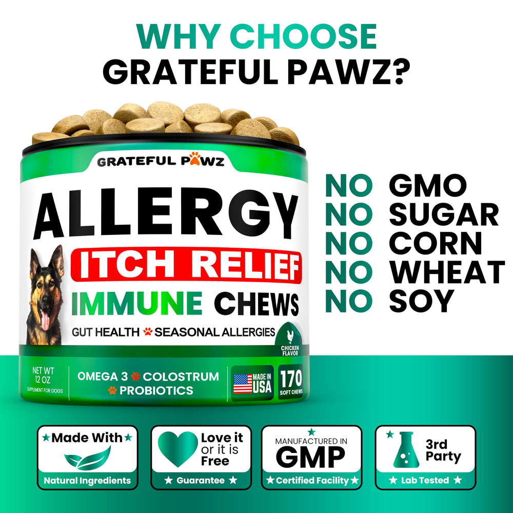 Grateful Pawz anti-itch formula chews image illustrating turmeric and quercetin for irritation relief.