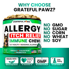 Grateful Pawz anti-itch formula chews image illustrating turmeric and quercetin for irritation relief.