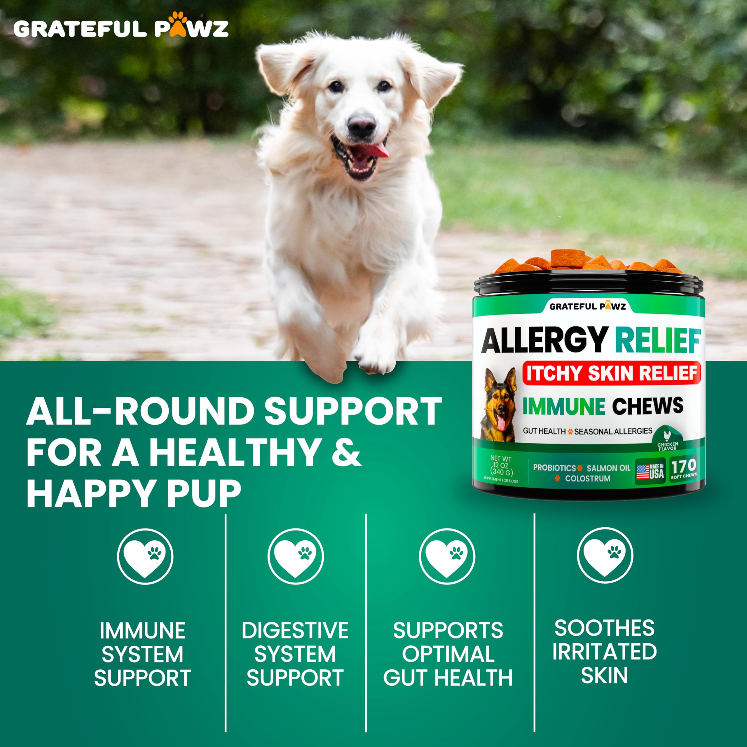 Grateful Pawz dog allergy chews omega-3 salmon oil for healthy skin.