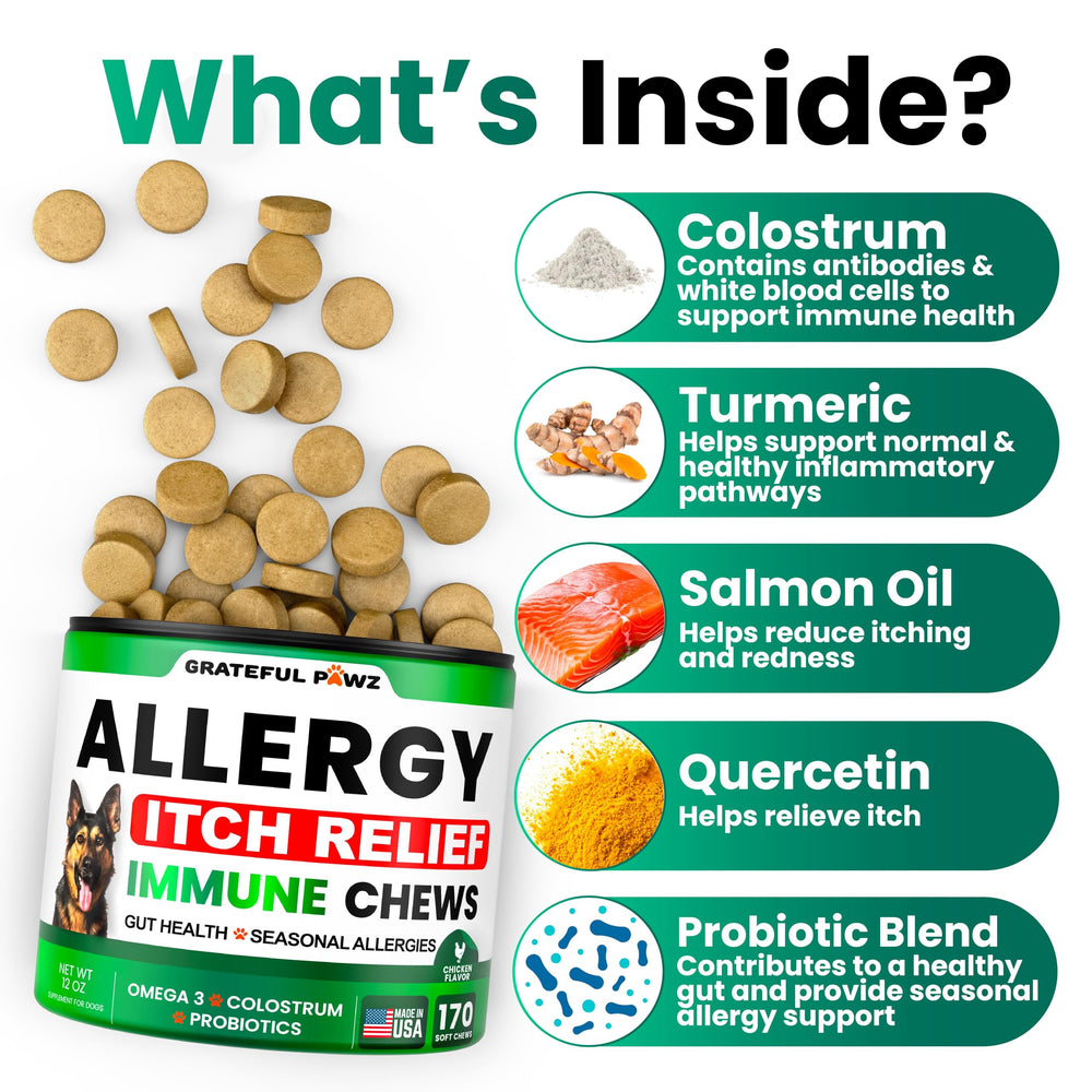Grateful Pawz dog allergy chews omega-3 image highlighting skin and immunity support.